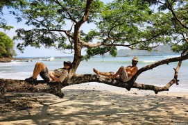 #Ballena beach_Tree of kings